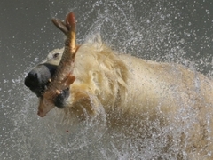 Фото <a href="http://lenta.ru/info/afp.htm">AFP</a>
