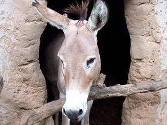 ����. ���� � ����� madisondiocese.org