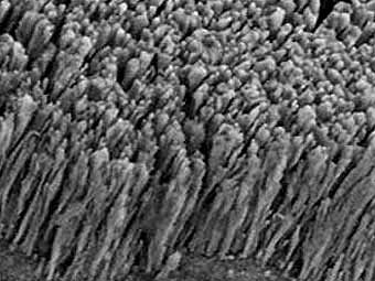 Фотография медных наноштырей, сделанная электронным микроскопом. Фото Rensselaer/Koratkar