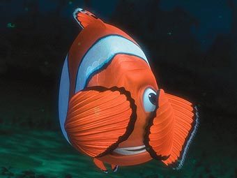 ���� �� ����������� "� ������� ����" 