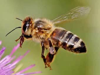 ���������� �����. ���� � ����� thebloomingcactus.com