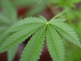 ���������. ���� AFP