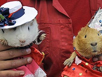 ���� � ����� Sky News