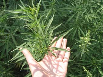 ���������. ���� � ����� people.md