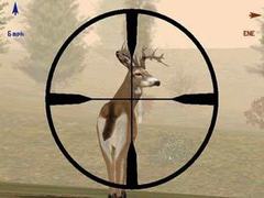 �������� ���� Deer Hunter