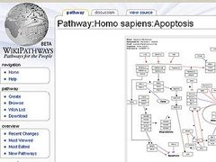 �������� ������� �������� ���� ������ WikiPathways