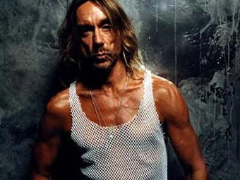  ,    iggypop.com