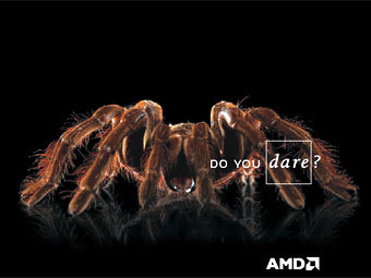   AMD.  - 