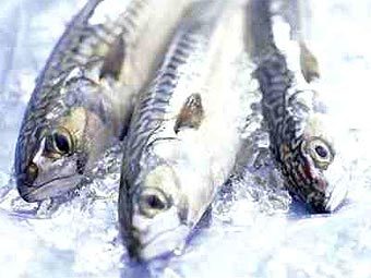 ���� � ����� omega-3-fish-benefits.com