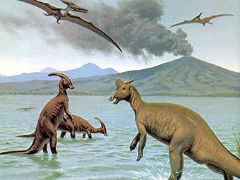 ����������� � ����� dinogems.com