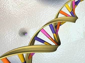 ������������ ������ �������� ��� c ����� genome.gov
