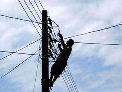 В Казахстане украли на дрова 90 телеграфных столбов