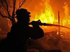 Лесные пожары в Калифорнии уничтожили 1000 домов