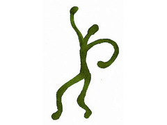 ������� �������� 2009 Science Dance Contest. ����������� � ����� gonzolabs.org