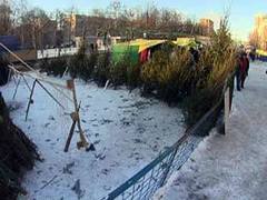 ������� ����� � ������. ���� � ����� sao.mos.ru