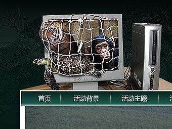 Скриншот страницы одного из интернет-аукционов, на которых ведется кампания по борьбе с незаконной торговлей дикими животными и сделанными из них вещами