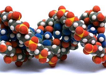 ������ ���. ����������� � ����� visualscience.ru
