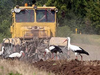 Сбор урожая в Белоруссии. Фото ©AFP. Сбор урожая в Белоруссии. Фото ©AFP.