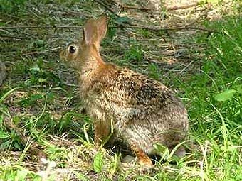 ���� � ����� rivernen.ca