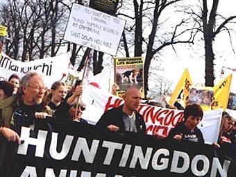 ������������ "�������" ������ ������������ �������� Huntingdon Life Sciences. ���� � ����� zhestokosti.net