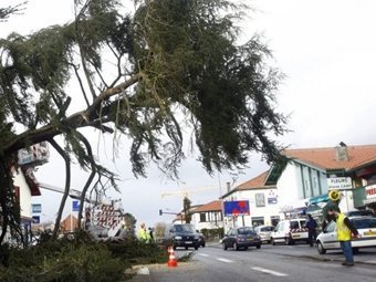 Последствия урагана в Европе. Фото ©AFP 