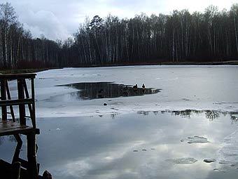 Лесопарк "Лосиный остров". Фото с сайта elkisland.ru 