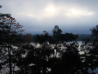 ����������� ����. ���� RAINFOR