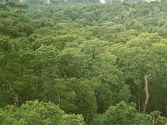����������� ����������� ������������ 85 ��������� ����� �������� � ����� ����
