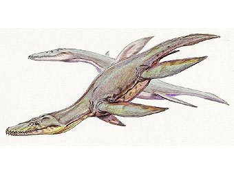 Реконструкция внешнего вида одного из видов плиозавра Simolestes vorax. Фото пользователя DiBgd с сайта wikipedia.org