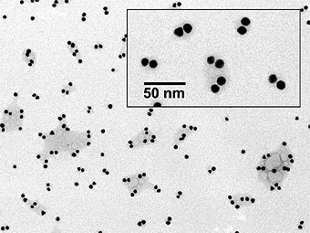IPB Image