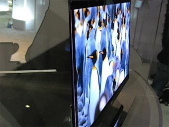 LG ������ ��������� OLED-���������� � ����� ����