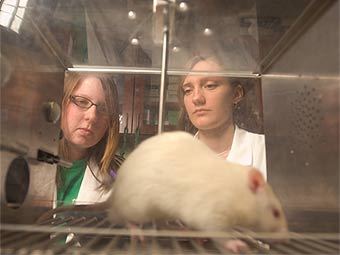 ���� � ����� psychology.evansville.edu