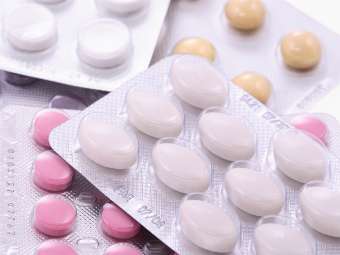 ���� Dr Ann � ����� photl.com