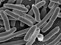 �������� ������� ���������� � �������������� ����������