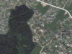 Лес близ поселка Мамыри. Спутниковый снимок Google Maps 