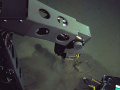Робот Nereus работает на дне впадины. Иллюстрация с сайта проекта