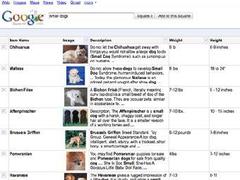 Google �������� ����� ��������� Squared  