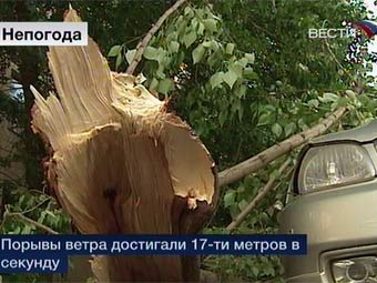Последствия урагана в Москве. Кадр телеканала "Вести 24"