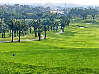 ���� ��� ���� � ����� �� ��������. ���� � ����� vietnamgolf.vn