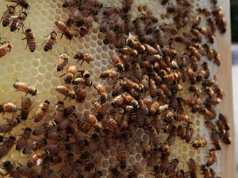 �����. ���� &copy;AFP