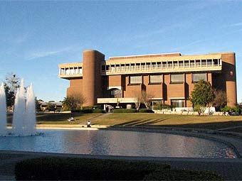 ������ ���������� ������������ ����������� �������. ���� ������������ Audrina � ����� wikipedia.org