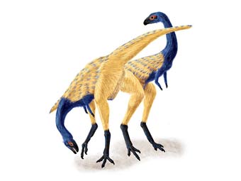 ����������������� ������� ��� Limusaurus inextricabilis. ����������� � ����� nsf.gov 
