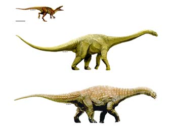 ����������������� ������� ��� ��������� ����������. ����������� T. Tischler, Australian Age of Dinosaurs Museum of Natural History