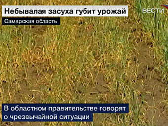 Изображение с сайта телеканала "Вести"