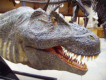 ������������� ������ ������������. ���� ������������ Ballista � ����� wikipedia.org