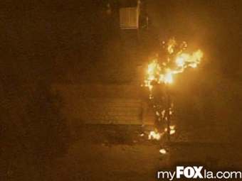 ���� � ����� ������������ � ����� www.myfoxla.com