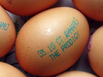 http://img.lenta.ru/news/2009/08/12/eggs/picture.jpg