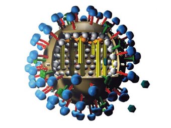 Трехмерная модель вируса A/H1N1. Иллюстрация M. Eckmann с сайта wikipedia.org