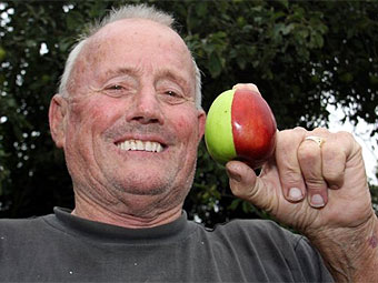 Кен Морриш с плодом. Фото с сайта dailymail.co.uk