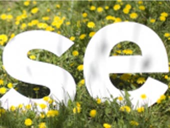 Изображение с сайта move-to-sweden.com